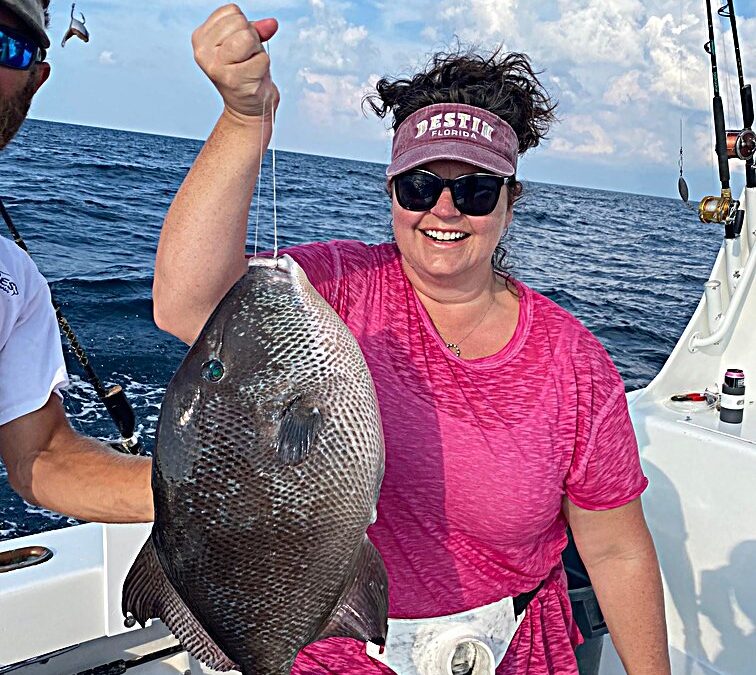 2025 Gray Triggerfish Season Gulf of America Federally Permitted Charter Boats