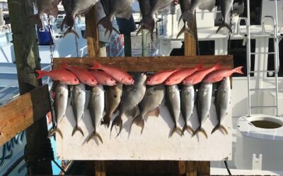 What’s in Season April 2025 Gulf of America